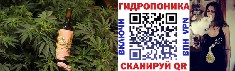 Cannafood конопля  Калач 