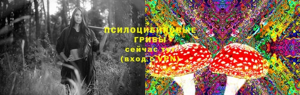 МДПВ Дедовск
